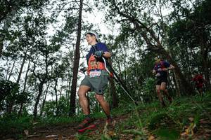 BIB: 
                            <button type="button" onclick="openModal(22557083)" class="btn btn-primary btn-sm float-right btn-popup" data-toggle="modal" data-target=".modal-high-quality">
                        <i class="fas fa-shopping-cart"></i> Add to Cart
                    </button>
                                            <button type="button" onclick="isThisMe(22557083, true)" class="btn btn-success btn-sm float-right btn-popup btn-isme hidden" data-toggle="tooltip" data-placement="bottom" title="นี่คือรูปของคุณใช่ไหม คลิกที่นี่เพื่อเอาเข้าอัลบั้ม">
                        <i class="fas fa-plus"></i> Add to album
                    </button>
                    <button type="button" onclick="isThisMe(22557083, false)" class="btn btn-warning btn-sm float-right btn-popup btn-isnotme hidden">
                        <i class="fas fa-ban"></i> Remove from album
                    </button>